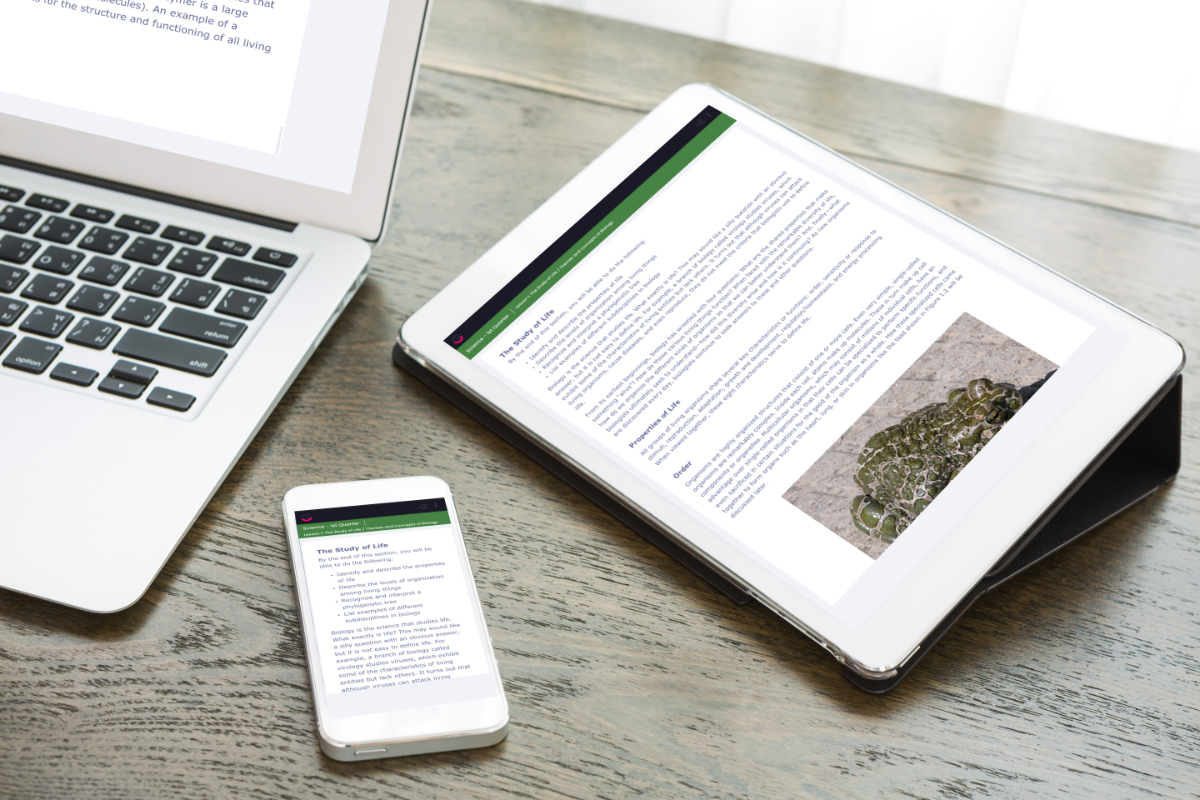 Email Marketing - Segmentation